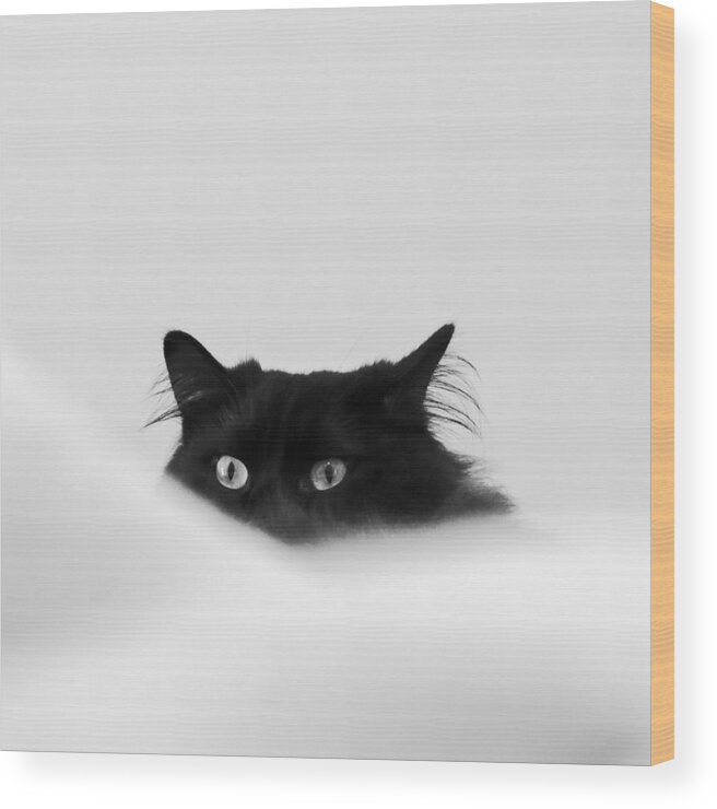 Cat Wood Print featuring the digital art Sneaky Cat by Kathleen Illes