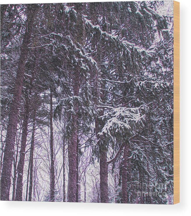Tree Wood Print featuring the photograph Snow Storm on Pines by Sandy Moulder