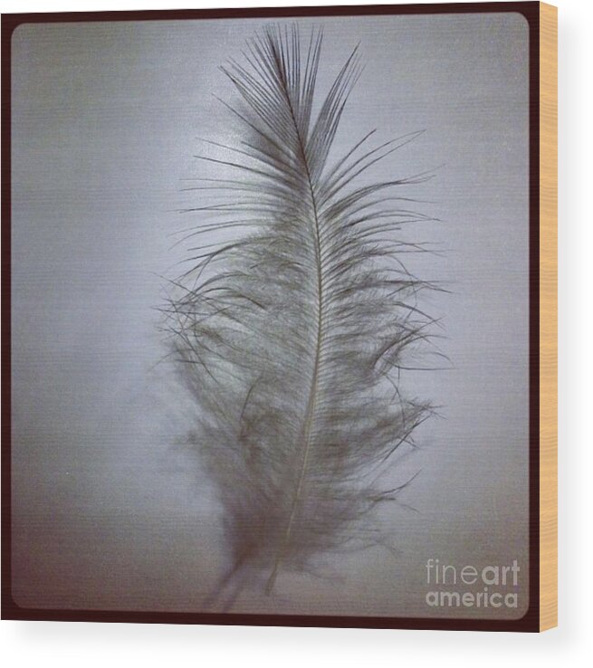 Feather Wood Print featuring the photograph Softly As You Go by Denise Railey