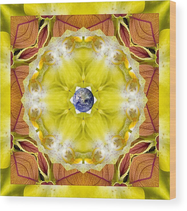 Mandalas Wood Print featuring the photograph Solaria by Bell And Todd