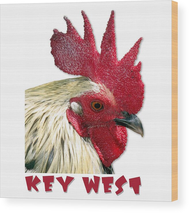 Key West Wood Print featuring the photograph Special Edition Key West Rooster by Bob Slitzan