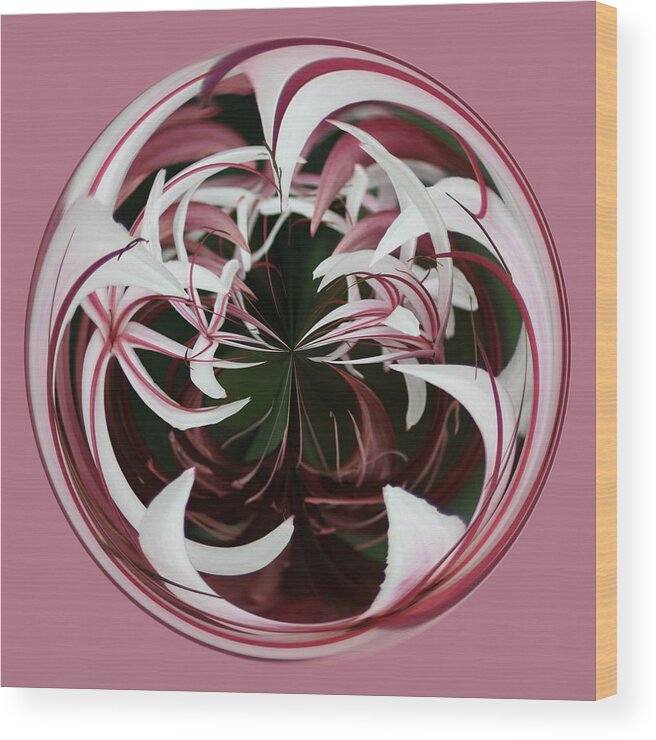 Spider Lily Wood Print featuring the photograph Spider Lily Orb by Bill Barber