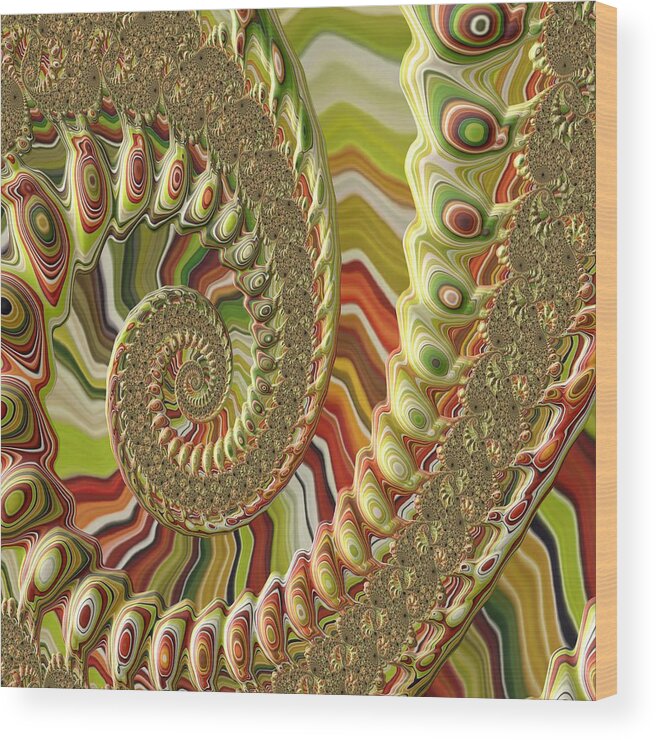 Fractal Art Wood Print featuring the photograph Spiral Fractal by Bonnie Bruno