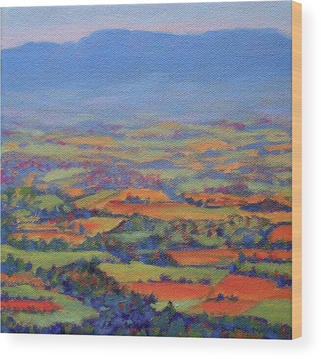 Shenandoah Landscape Wood Print featuring the painting Spring Patchwork 1 by Bonnie Mason