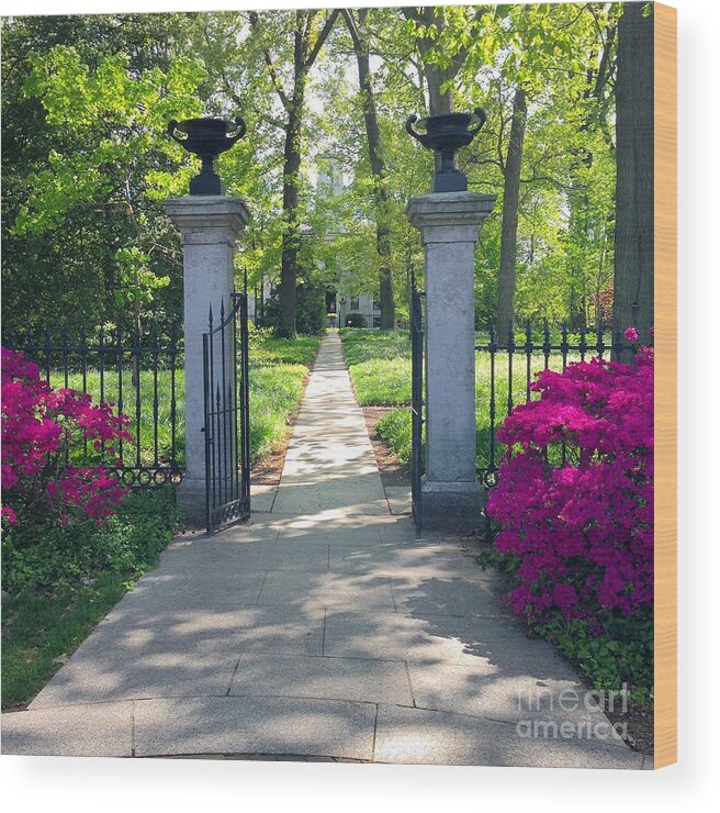 St Louis Missouri Wood Print featuring the photograph Spring Path To The Mausoleum by Debbie Fenelon