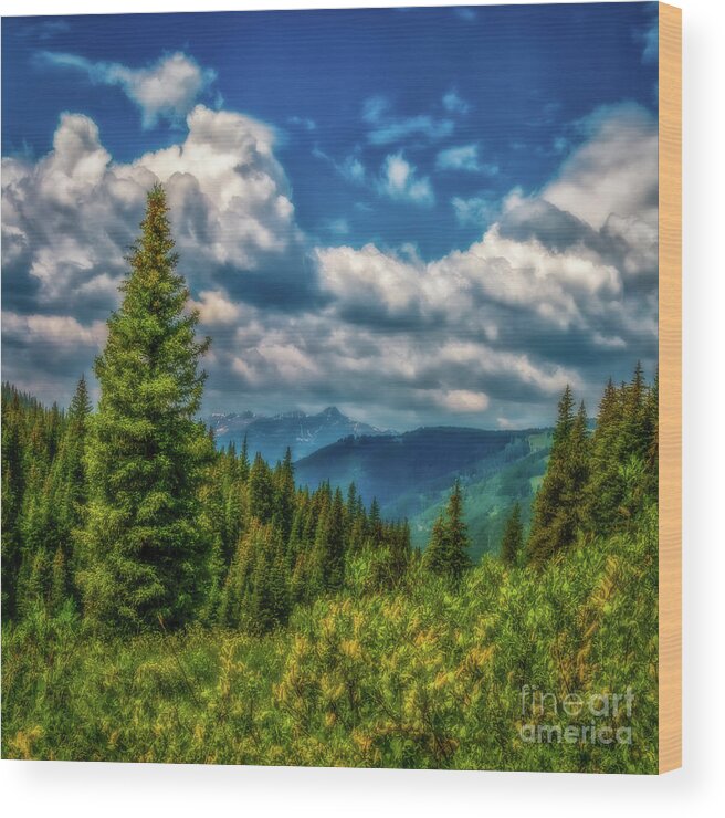 Jon Burch Wood Print featuring the photograph Springtime in the Rockies by Jon Burch Photography