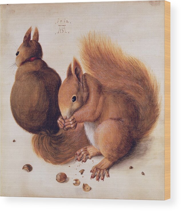 Albrecht Durer Wood Print featuring the painting Squirrels by Albrecht Durer