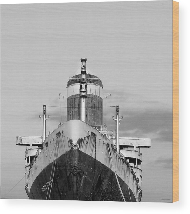 Ssus Wood Print featuring the photograph Ssus by Dark Whimsy