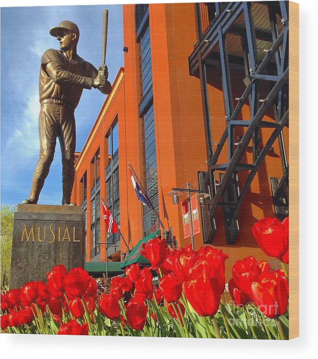 St Louis Missouri Wood Print featuring the photograph Stan Musial Statue On Opening Day by Debbie Fenelon