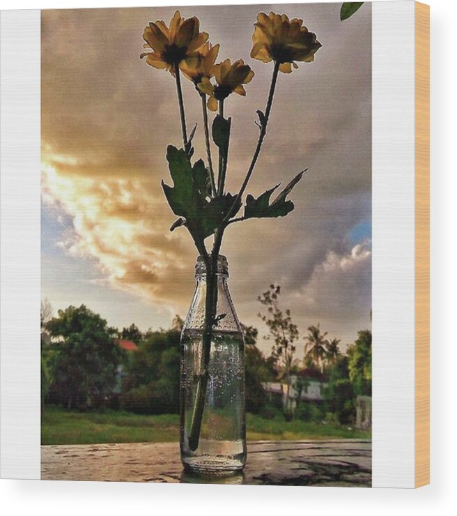 Flowers Wood Print featuring the photograph Stand Still Flowers by Loly Lucious