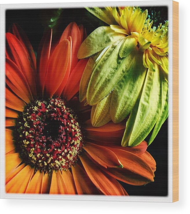 Flowers Wood Print featuring the photograph Still Life by Anne Thurston