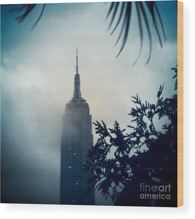 Empire State Building Wood Print featuring the photograph Stormy Skies by Denise Railey