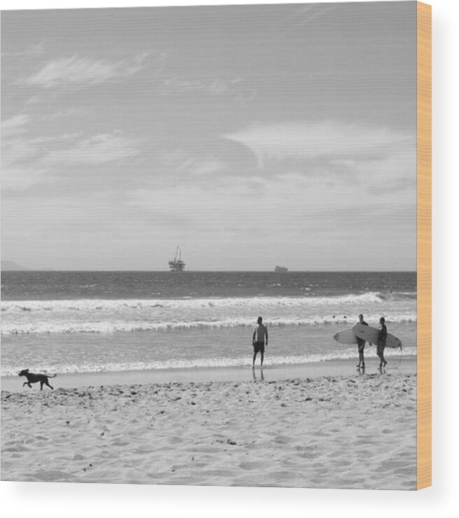 Summer Wood Print featuring the photograph Strollin On Dog Beach #1 by Leah McPhail