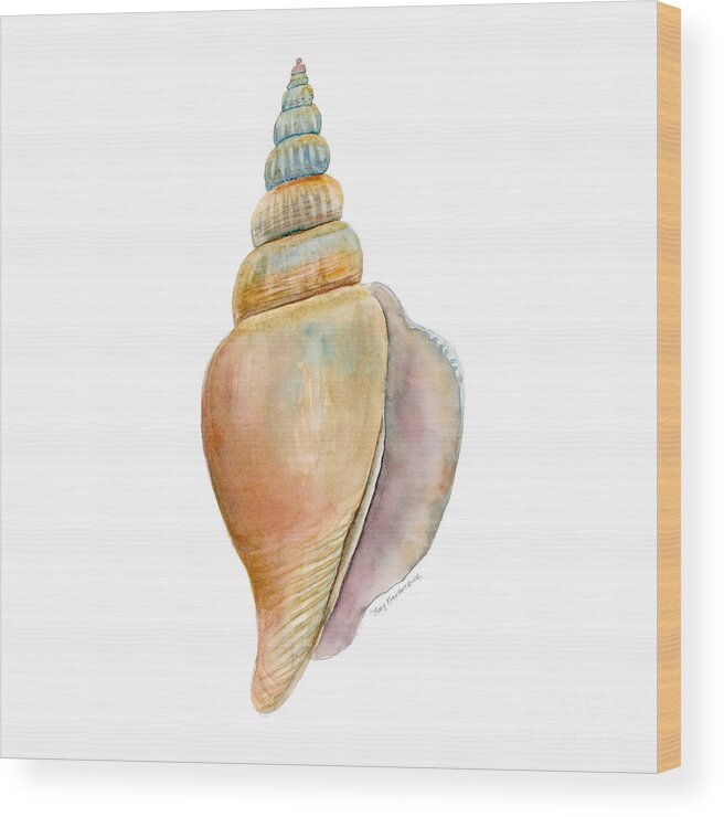 Conch Shell Painting Wood Print featuring the painting Strombus Vittatus Shell by Amy Kirkpatrick