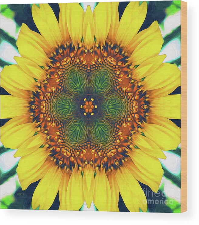 Sunflower Wood Print featuring the digital art Structure of A Sunflower by Phil Perkins