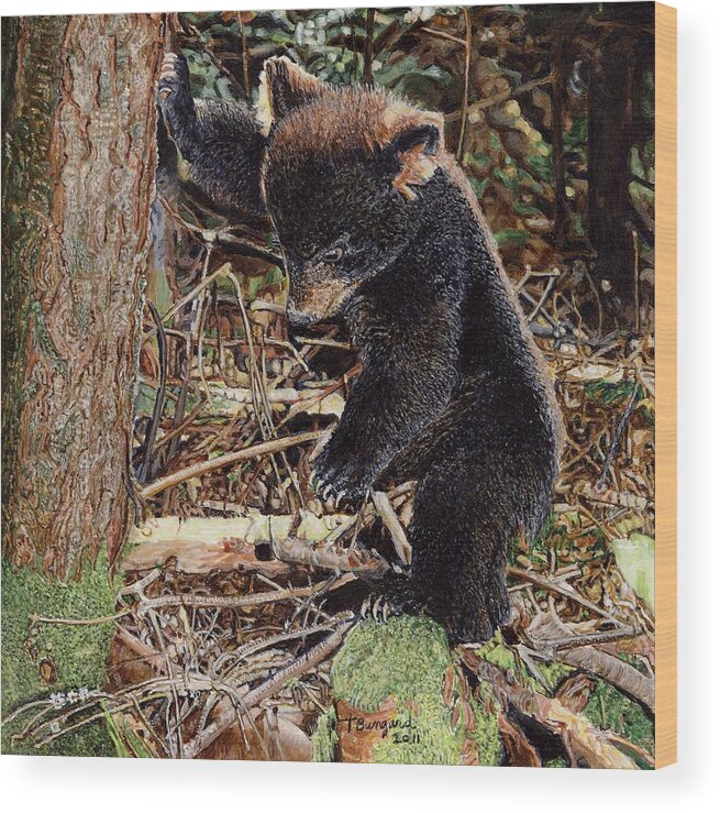 Bear Cub Wood Print featuring the painting Stumped by Terry Bungard
