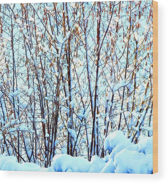Winter Wood Print featuring the photograph Subtle Blue Glow by Will Borden
