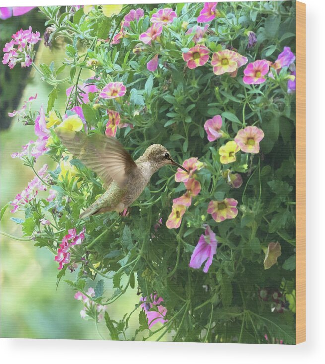 Hummingbird Wood Print featuring the photograph Summer Flowers by Angie Vogel