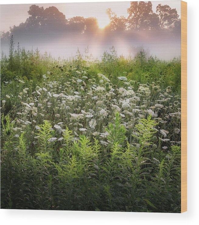 Square Wood Print featuring the photograph Summer Fog by Bill Wakeley
