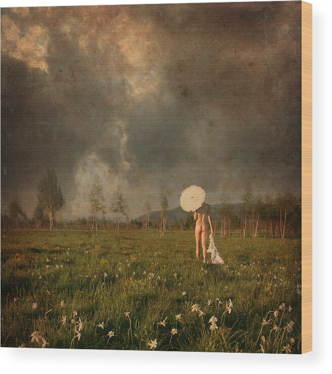 Landscape Wood Print featuring the photograph Summer walk by Floriana Barbu