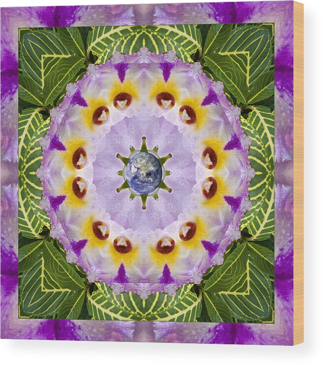Mandalas Wood Print featuring the photograph Sun Shower by Bell And Todd