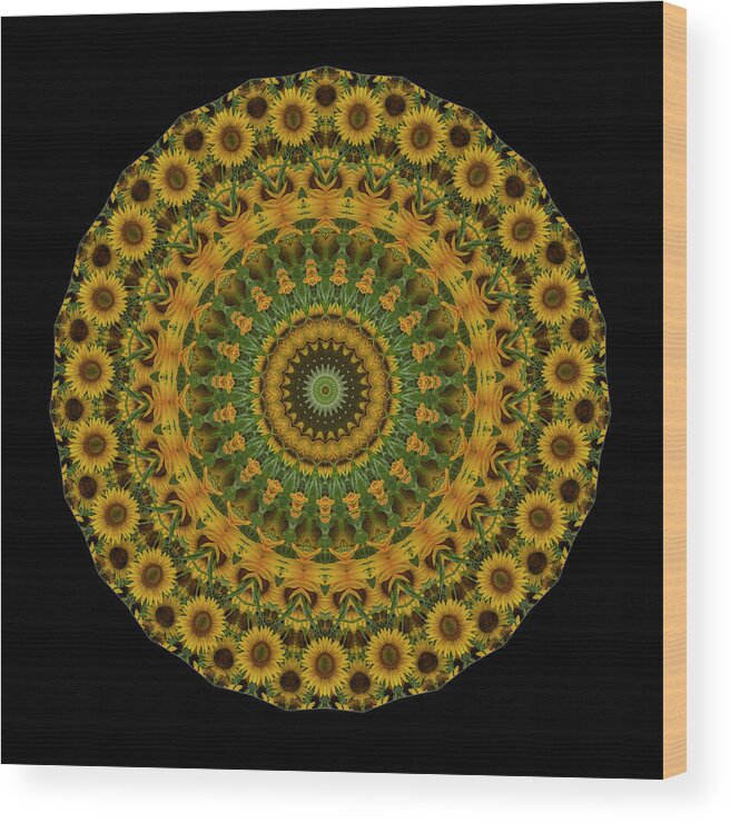 Sunflowers Wood Print featuring the photograph Sunflower Mandala by Mark Kiver