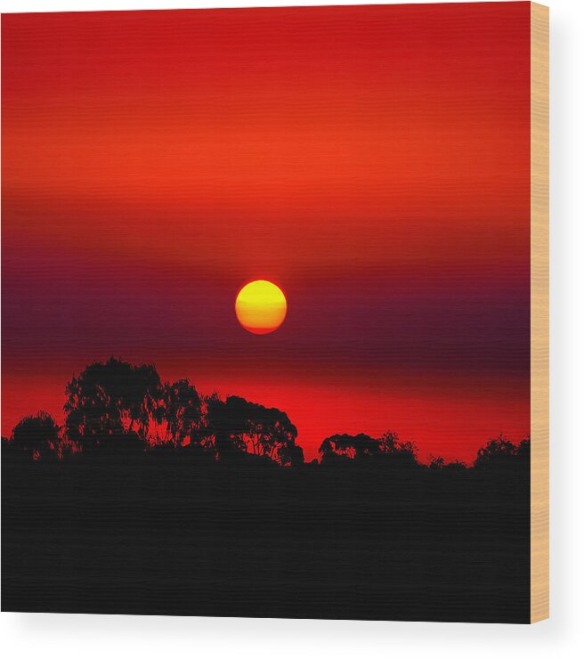 Landscape Wood Print featuring the photograph Sunset Dreaming by Az Jackson