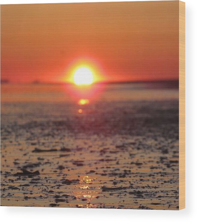 Sun Wood Print featuring the photograph Sunset over the Sea by Laura Henry