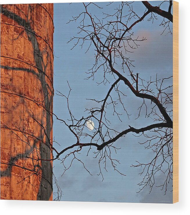 Sunset Shadows And Moon Wood Print featuring the photograph Sunset Shadows and Moon by Dark Whimsy