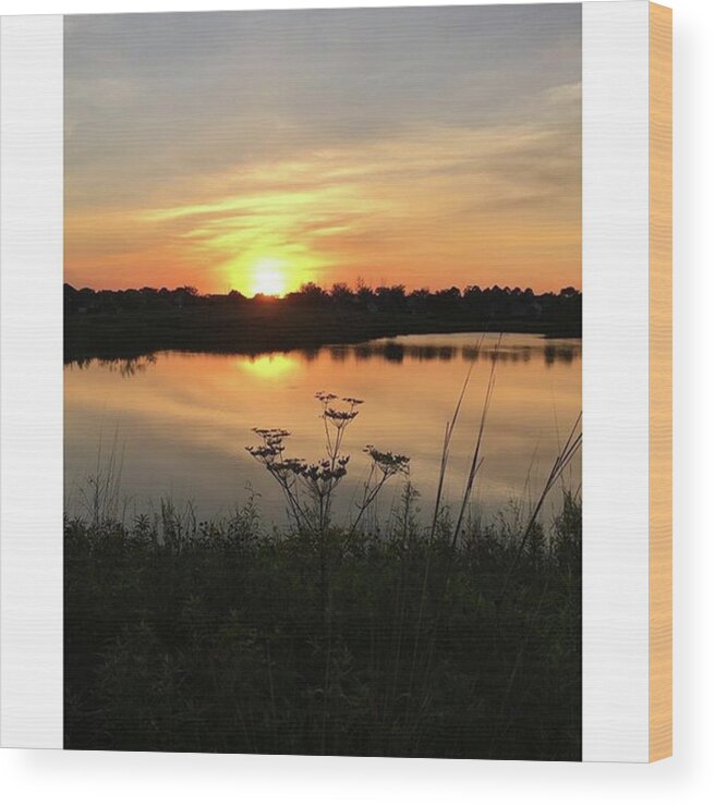 Sun Wood Print featuring the photograph Amber Sunset by the Lake by Phunny Phace