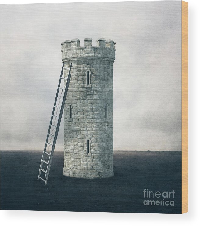 Castle Wood Print featuring the digital art Surreal Landscape - Castle Tower by Edward Fielding
