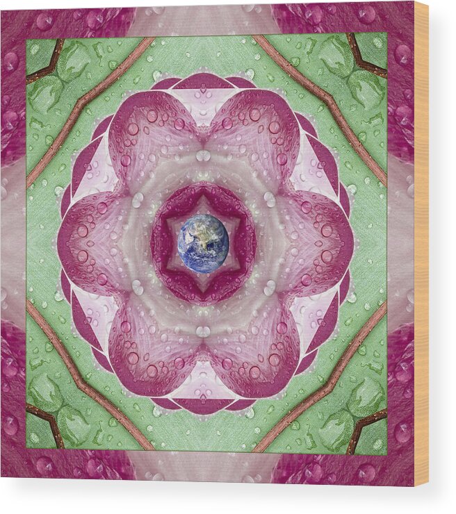 Mandalas Wood Print featuring the photograph Sweet Dew by Bell And Todd