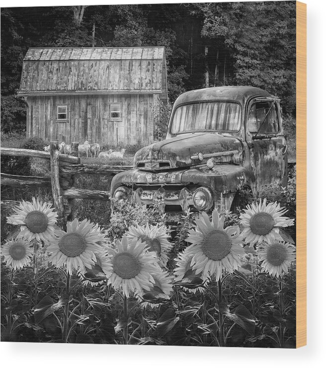 1940s Wood Print featuring the photograph Take us for a Ride in the Sunflower Patch Black and White by Debra and Dave Vanderlaan