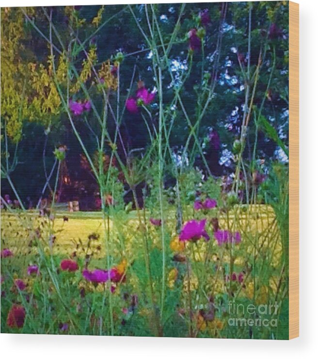 Floral Wood Print featuring the photograph Tall Wisphy Flowers Of Pink by Debra Lynch