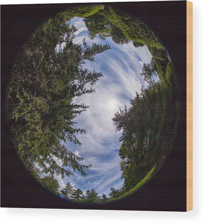 Fisheye Wood Print featuring the photograph The Berkshires 944 by Michael Fryd