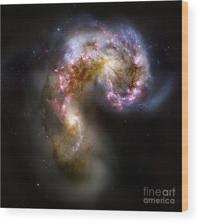Hubble Wood Print featuring the photograph The Antennae Galaxies - NGC 4038-4039 by Nicholas Burningham