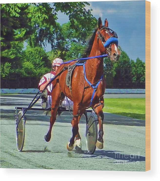 Standardbred Wood Print featuring the photograph The Backstretch by Carol Randall
