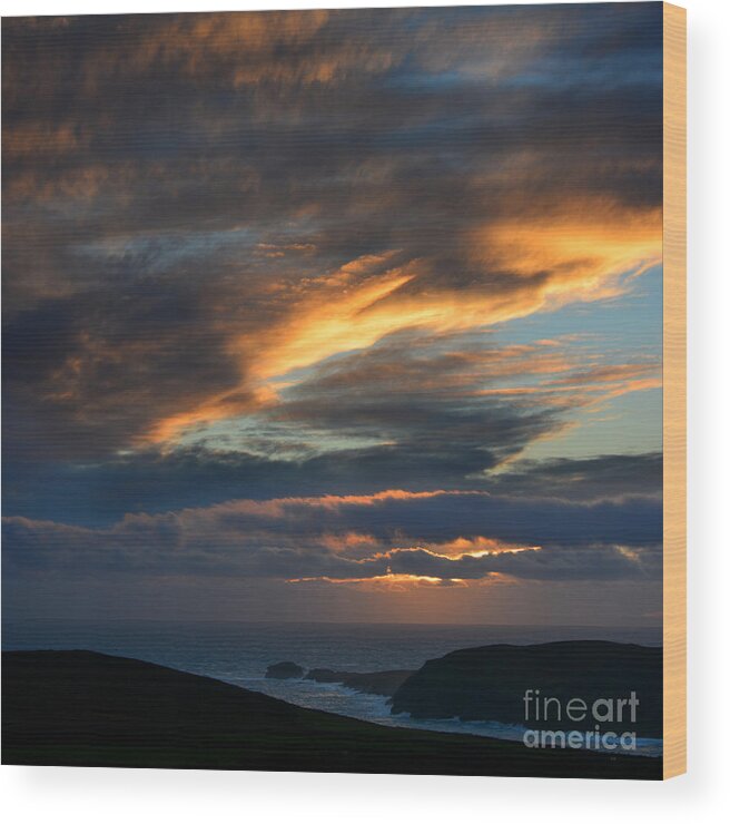 Photography By Paul Davenport Wood Print featuring the photograph The Calf at Sunset by Paul Davenport