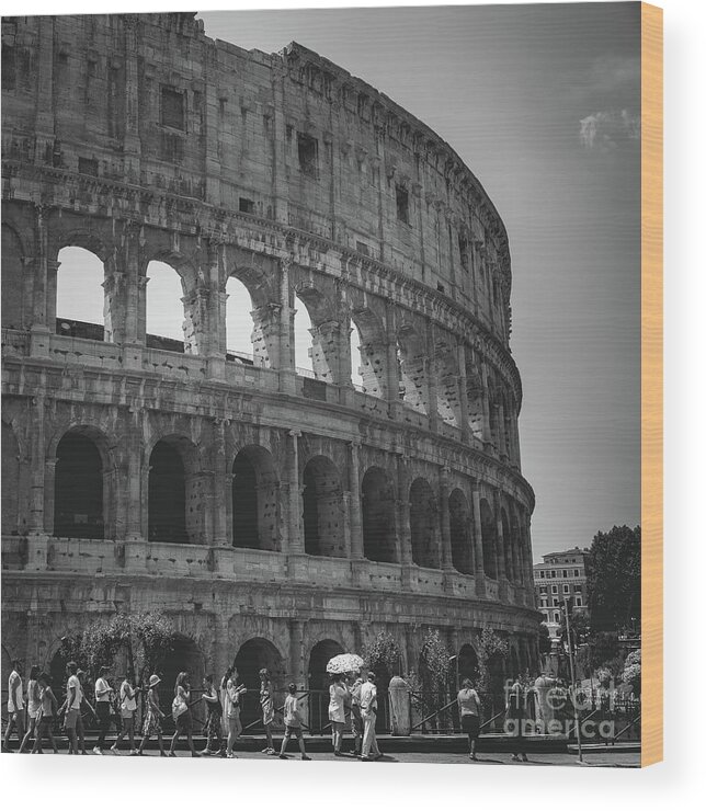 Colosseum Wood Print featuring the photograph The Colosseum, Rome Italy by Perry Rodriguez