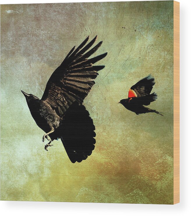 Crow Wood Print featuring the photograph The Crow and the Blackbird by Peggy Collins