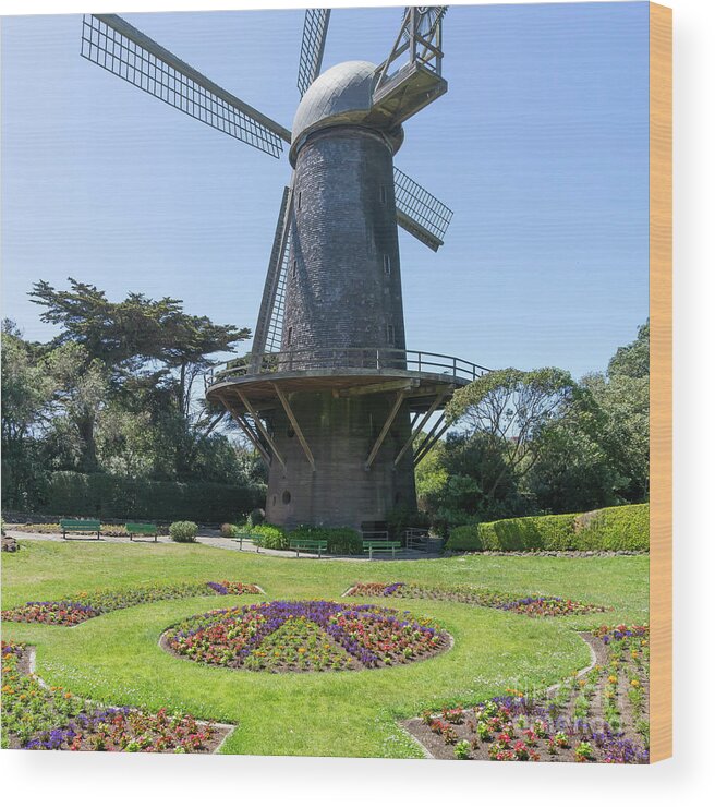 Wingsdomain Wood Print featuring the photograph The Dutch Windmill San Francisco Golden Gate Park San Francisco California DSC6361 square by San Francisco
