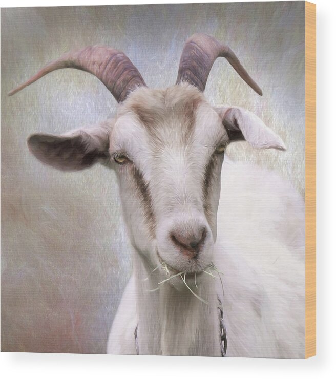 Farm Wood Print featuring the photograph The Farmer's Billy Goat by Lori Deiter