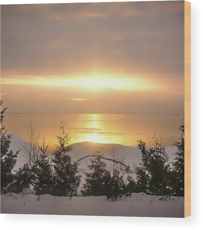 Golden Wood Print featuring the photograph The Golden Hour by Patti Raine