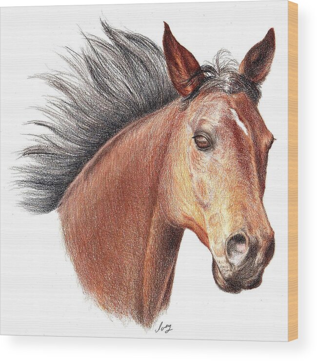 Portraits Wood Print featuring the drawing The Horse by Mike Ivey