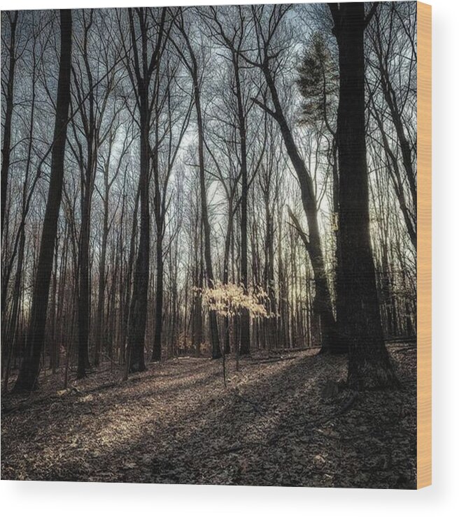 Hikect Wood Print featuring the photograph The Light I See.
crescent Lake by Craig Szymanski