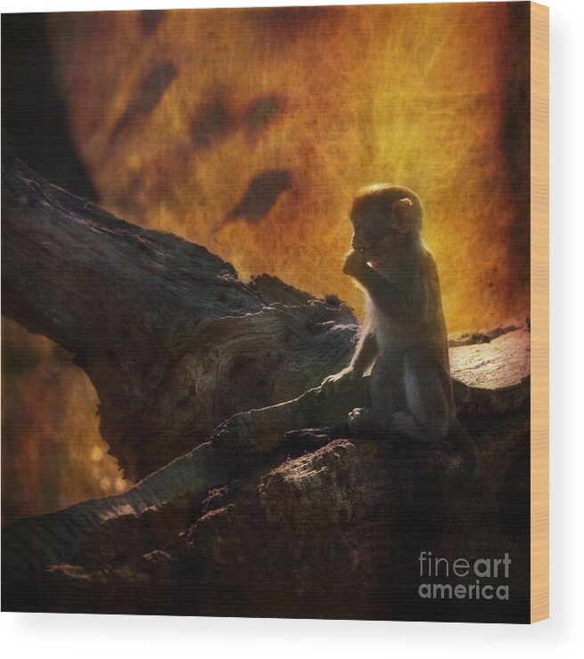 Monkey Wood Print featuring the photograph The Little Golumn by Ang El