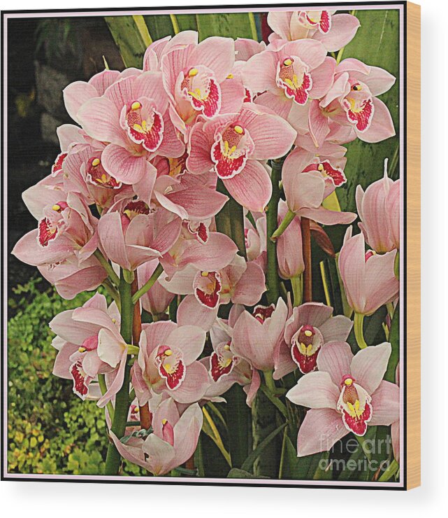 Orchid Wood Print featuring the photograph The Orchid Garden by Dora Sofia Caputo