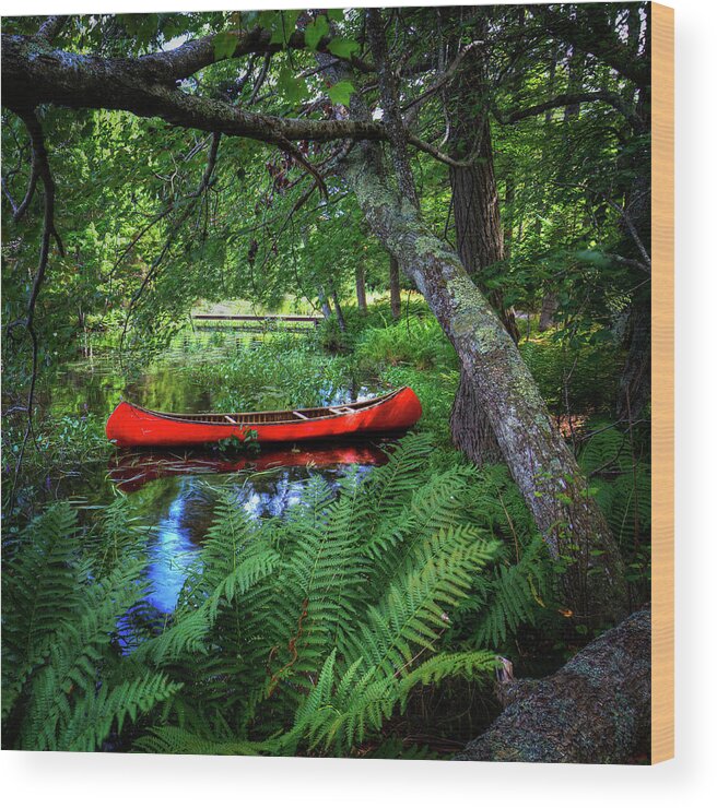 Canoe Under The Canopy Wood Print featuring the photograph The Red Canoe on the Lake by David Patterson