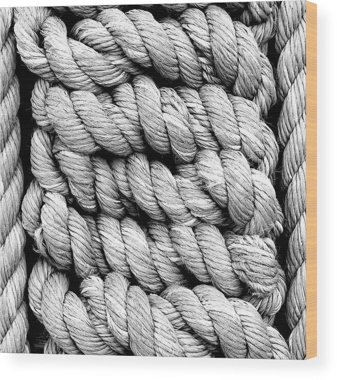 Black And White Wood Print featuring the photograph The Ropes by Holly Ross