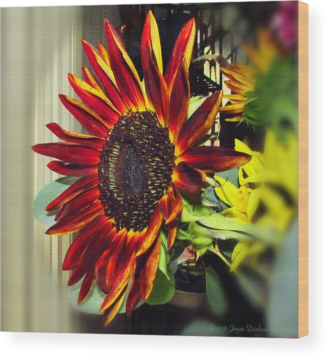 Sunflower Wood Print featuring the photograph The Ultimate Sunflower by Joyce Dickens